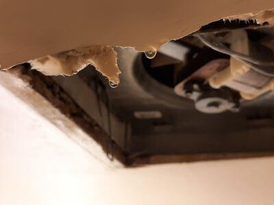 Professional water damage restoration services in Laredo, TX - BrightCove Group